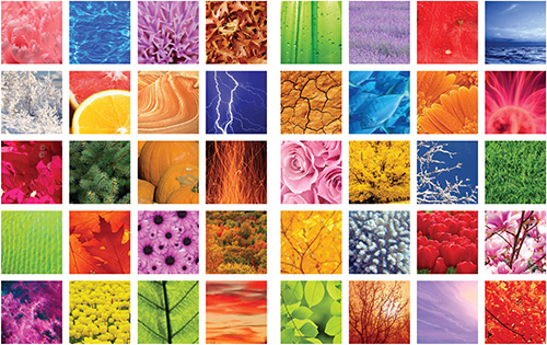 環保材料解決方案